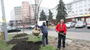 Дорогу Путина устелют липами: в центре Челябинска начали высадку новых деревьев