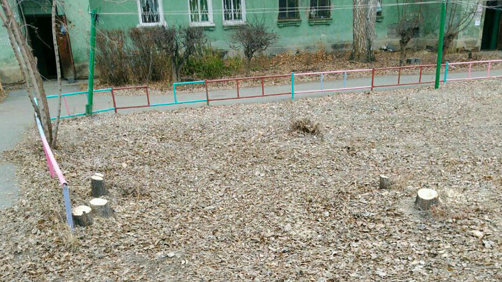 «Рубили всё подряд»: жителей Ленинского района возмутила зачистка двора от деревьев