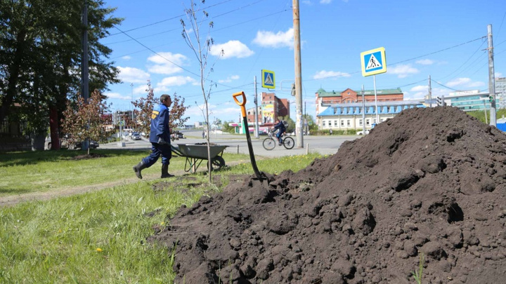 На смену тополям – боярышник: до зимы в Челябинске высадят полторы тысячи деревьев