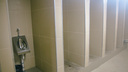 В нежно-бежевых тонах: подземный туалет на Маяковского отремонтируют до 31 мая