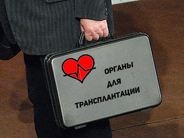 Коллаж "Фонтанка"/Интерпресс