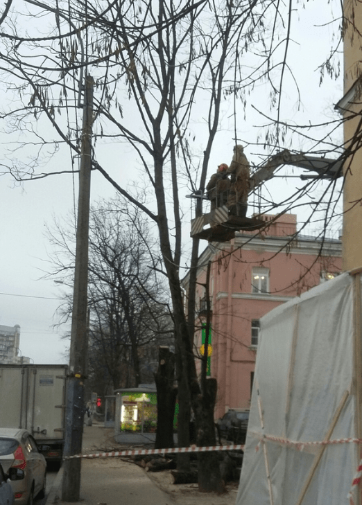 Вырубка деревьев по адресу Енотаевская, 16