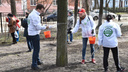 За месяц ярославцы посадили четыре тысячи деревьев