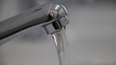 Бизнесмена из Плесецкого района осудили за добычу воды без лицензии