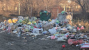 В Краснооктябрьском районе Волгограда вырос новый мусорный Эверест