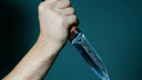 Безработный северодвинец ударил ножом свою подругу