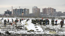 Родственники жертв крушения «Боинга» в Ростове потребовали $10 млн от FlyDubai