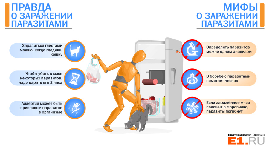 Симптомы паразитов. Симптомы заражения паразитами. Инфографика паразиты гельминты. Мифы об организме человека. Признаки заражения паразитами.