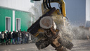 В Шенкурском районе погиб рабочий при спиливании деревьев