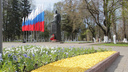 В Ярославле потратили 16 миллионов на цветы в горшках и клумбах