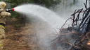 Сотрудники самарского МЧС потушили лесной пожар в Красноярском районе