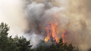 Ситуация с природными пожарами в Волгоградской области взята под контроль