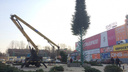 Около ТЦ «Русь» начали собирать новогоднюю елку
