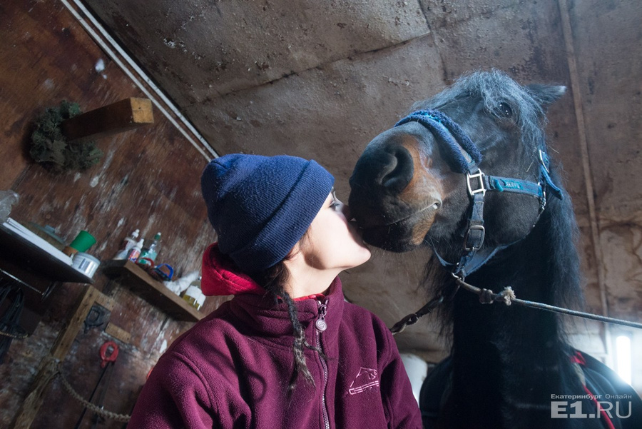 Алёна Шемелина – владелец конно-спортивного клуба – легко ладит с лошадьми
