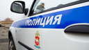«Гематома на голове страшенная»: пару избили и ограбили на улице в «Парковом»