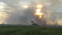 В Ростовской области во время пожара местные жители ветками отогнали огонь от электростанции