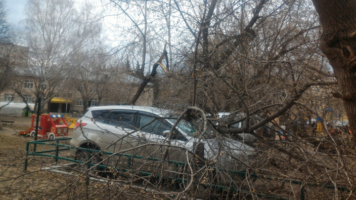Упавшее дерево помяло кроссовер, припаркованный у дома №133 по улице Республики