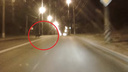 «Выскочила огромная туша из ниоткуда»: житель Тольятти испугался перебегавшего дорогу кабана