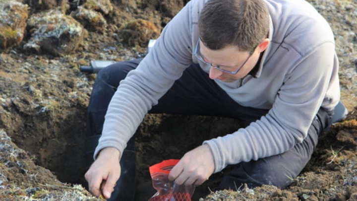 «Арктический плавучий университет» обнаружил остатки растительности юрского периода