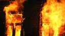 Пенсионеры, приехавшие отдохнуть на дачу, сгорели в своем доме