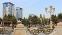 В парке Дружбы: Волгоград-Баку отмечают день рождения Гейдара Алиева