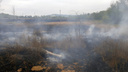 Крупный пожар на острове Зелененьком: на площади 1 га горела трава