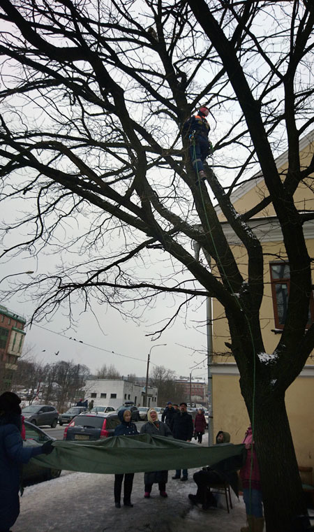 предоставлено ПСО Экстремум