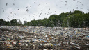 На закрытой в Ярославской области свалке мусор сгниет только через 300 лет