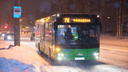 Депутатов — на автобус: к концу года в Архангельске станет больше «пазикозаменителей»