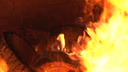 В Поморье на 11% снизилось количество пожаров, но ущерб от них стал выше