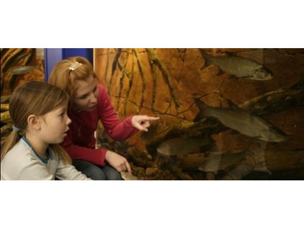 «Маретариум» - это первый выставочный аквариум в Финляндии, расположен в городе Котка, морской столице Суоми.