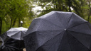 Синоптики: в Ростове на выходных ожидаются дожди