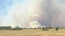 Режим ЧС ввели из-за пожара в лесу в Усть-Донецком районе