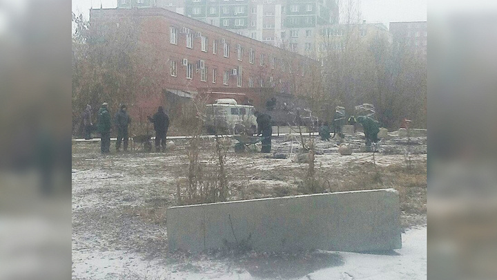 «Это безобразие полное»: на северо-западе Челябинска в середине ноября высадили деревья