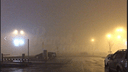 Нелетная погода: из-за тумана в ростовском аэропорту Платов отменены или задерживаются рейсы