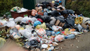 В ярославском посёлке после выборов перестали вывозить мусор