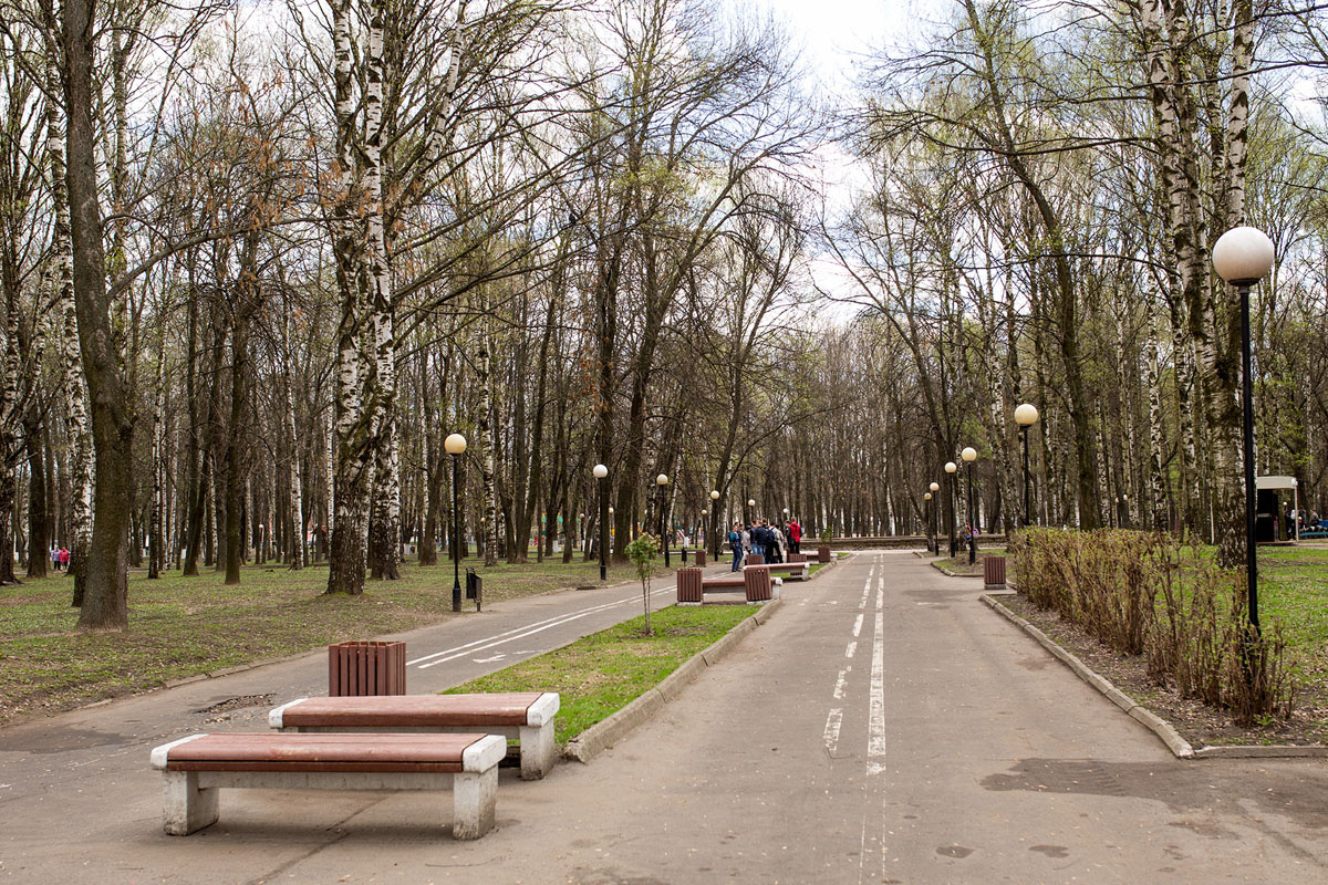 Парк добрынина ярославль фото