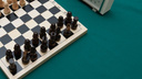Воспитанник архангельской колонии сыграет в шахматы со швейцарскими заключенными