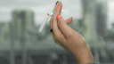 Курильщики заплатили государству более 120 миллионов рублей