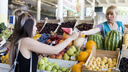 Рынок, палатка мэра или супермаркет: где в Ярославле купить хороший арбуз