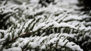 Синоптики: на выходных в Ростове ожидается снег с дождем