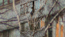 «Свисала с балкона»: в Тольятти спасатели эвакуировали пенсионерку из многоэтажки