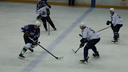 В Рыбинске возродят большой хоккей