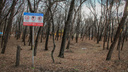 Ростовчане выбрали три парка, которые мэрия благоустроит до конца года