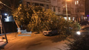 На Пушкинской дерево упало на провода