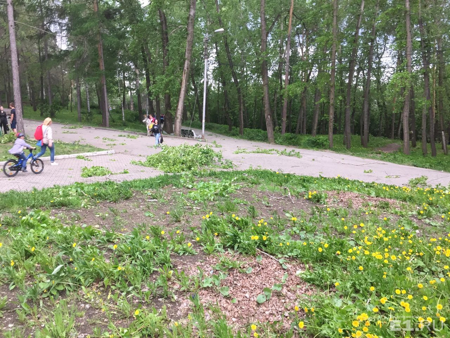 В ЦПКиО всё засыпано сорванными с деревьев ветками.
В ЦПКиО всё засыпано сорванными с деревьев ветками.