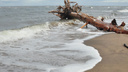 Берег одного из Соловецких островов очистили от опасных газовых баллонов