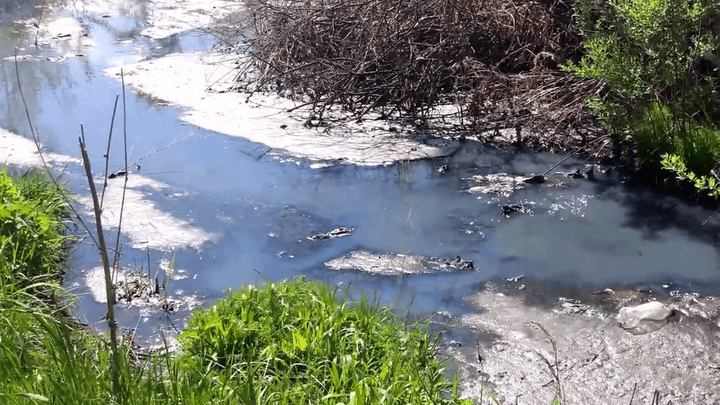 Стоп-сток: общественники нашли нечистоты, стекающие в озеро на Южном Урале
