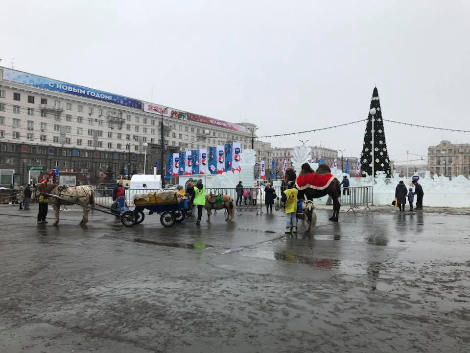 Несмотря на то, что городок закрыт, малыши все равно могут покататься на пони, лошадках и даже на верблюде Несмотря на то, что городок закрыт, малыши все равно могут покататься на пони, лошадках и даже на верблюде