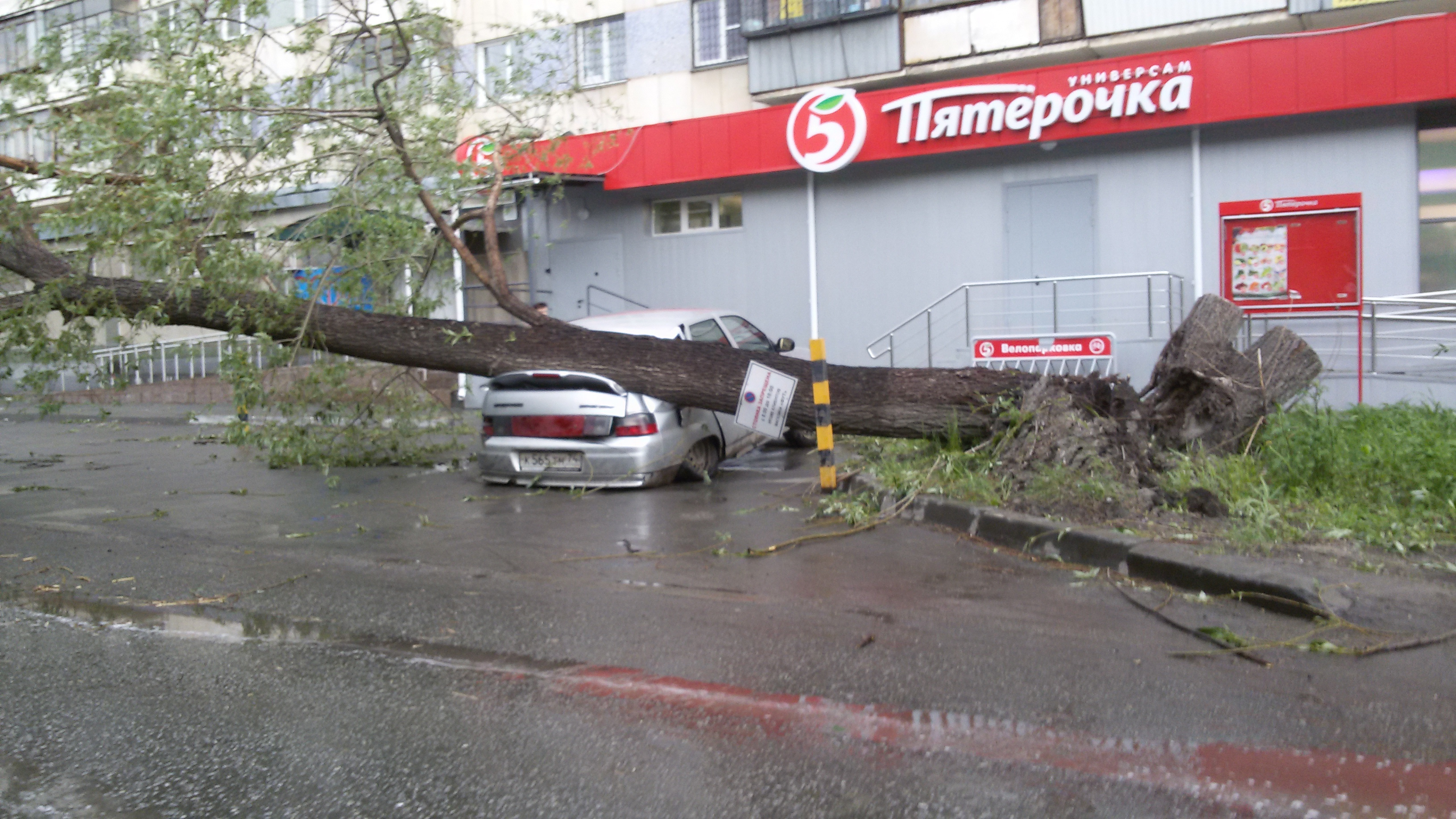 Возле магазина в районе улицы Масленникова в Ленинском районе деревом раздавило «Ладу»